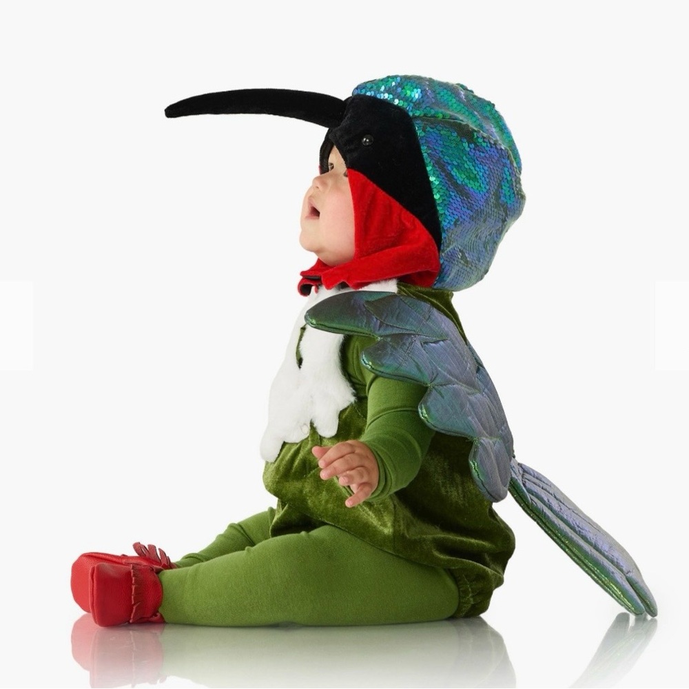 Pottery Barn Kids Hummingbird Baby Costume - Picture 2 of 4